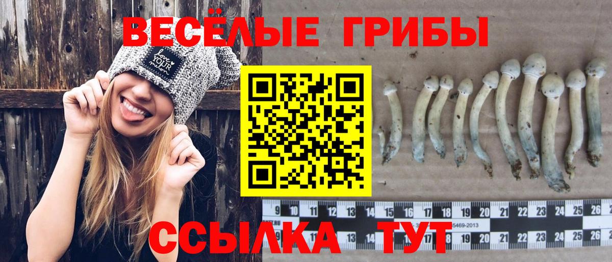 Кушва  как найти   Вход с VPN  Псилоцибиновые грибы GOLDEN TEACHER 