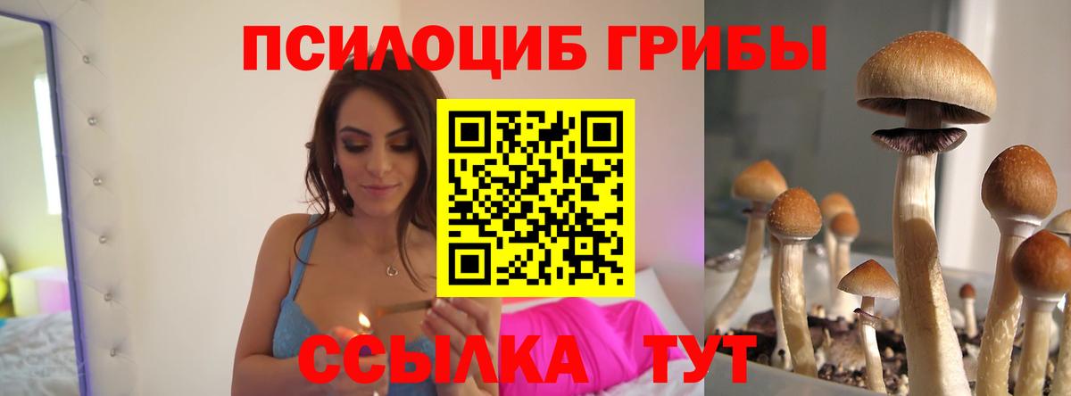 Псилоцибиновые грибы прущие грибы Кушва